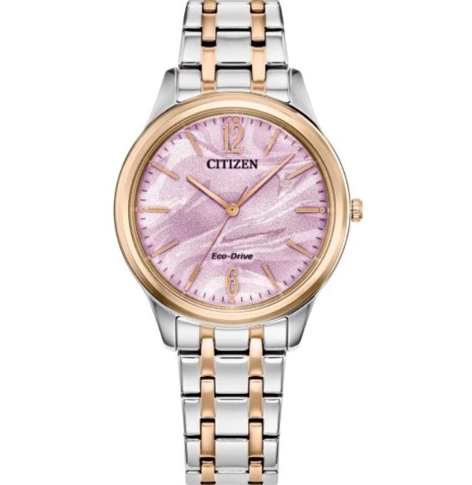 Citizen Eco-Drive Timepiece