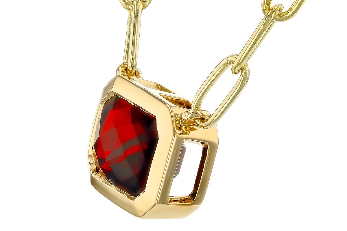 Allison Kaufman Garnet Bezel Necklace
