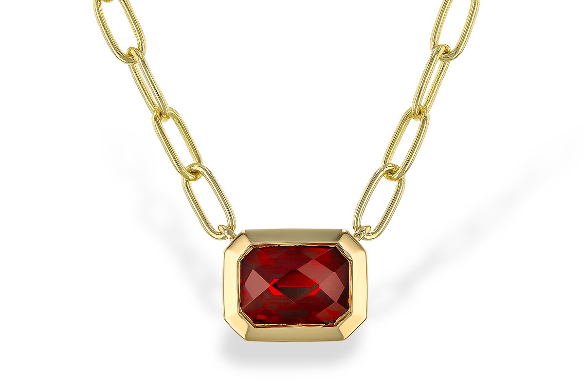Allison Kaufman Garnet Bezel Necklace