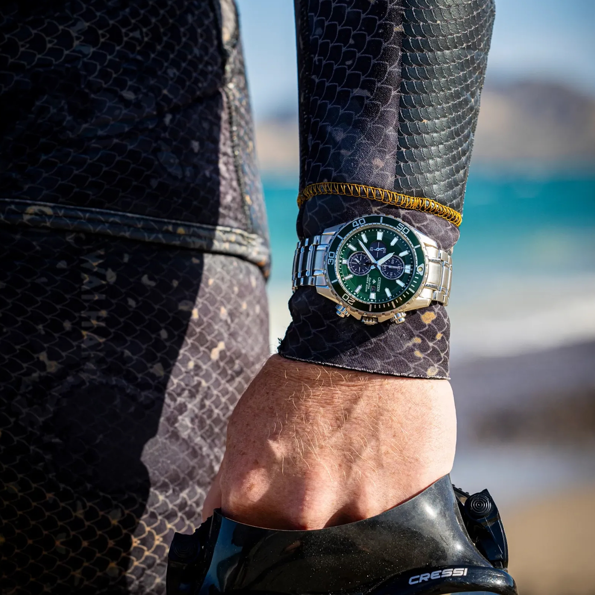 Citizen Promaster Dive Wristwatch