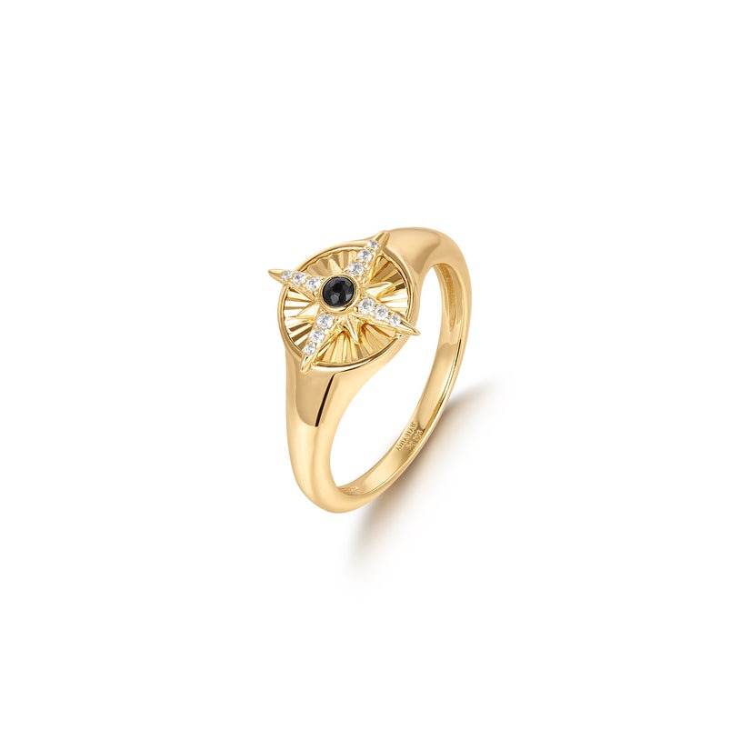 Ania Haie Star Signet Ring
