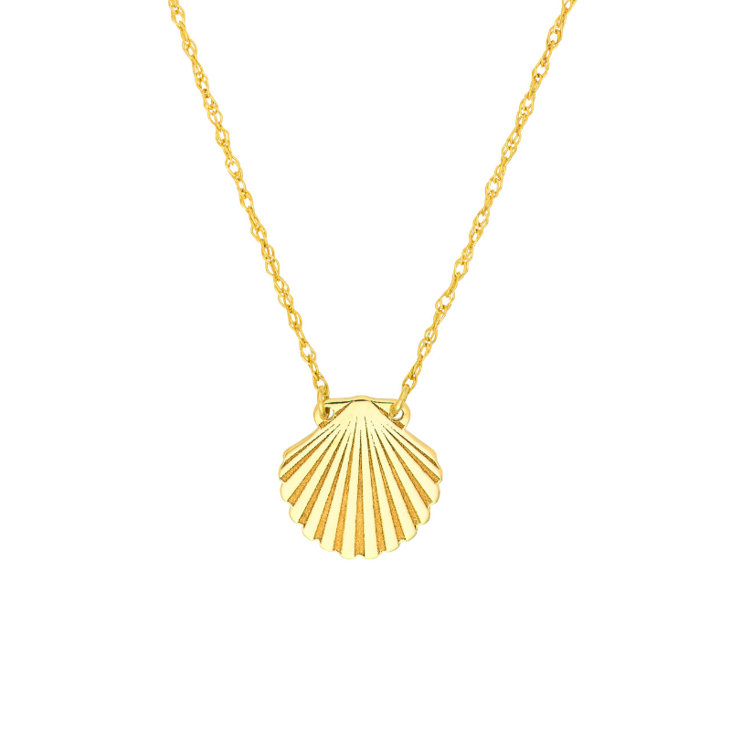 14k Yellow Gold Seashell Necklace