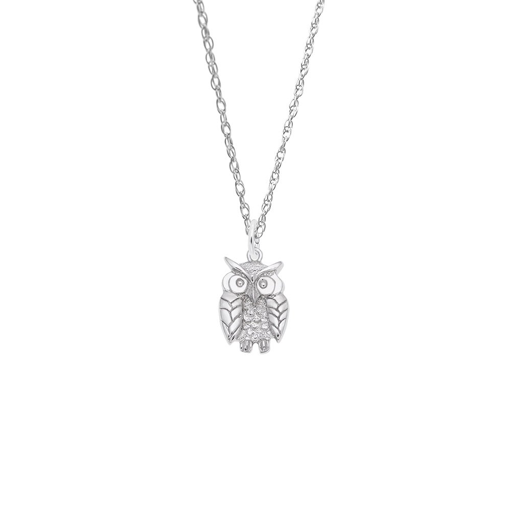 Wise Owl Necklace Set - Gold Plate