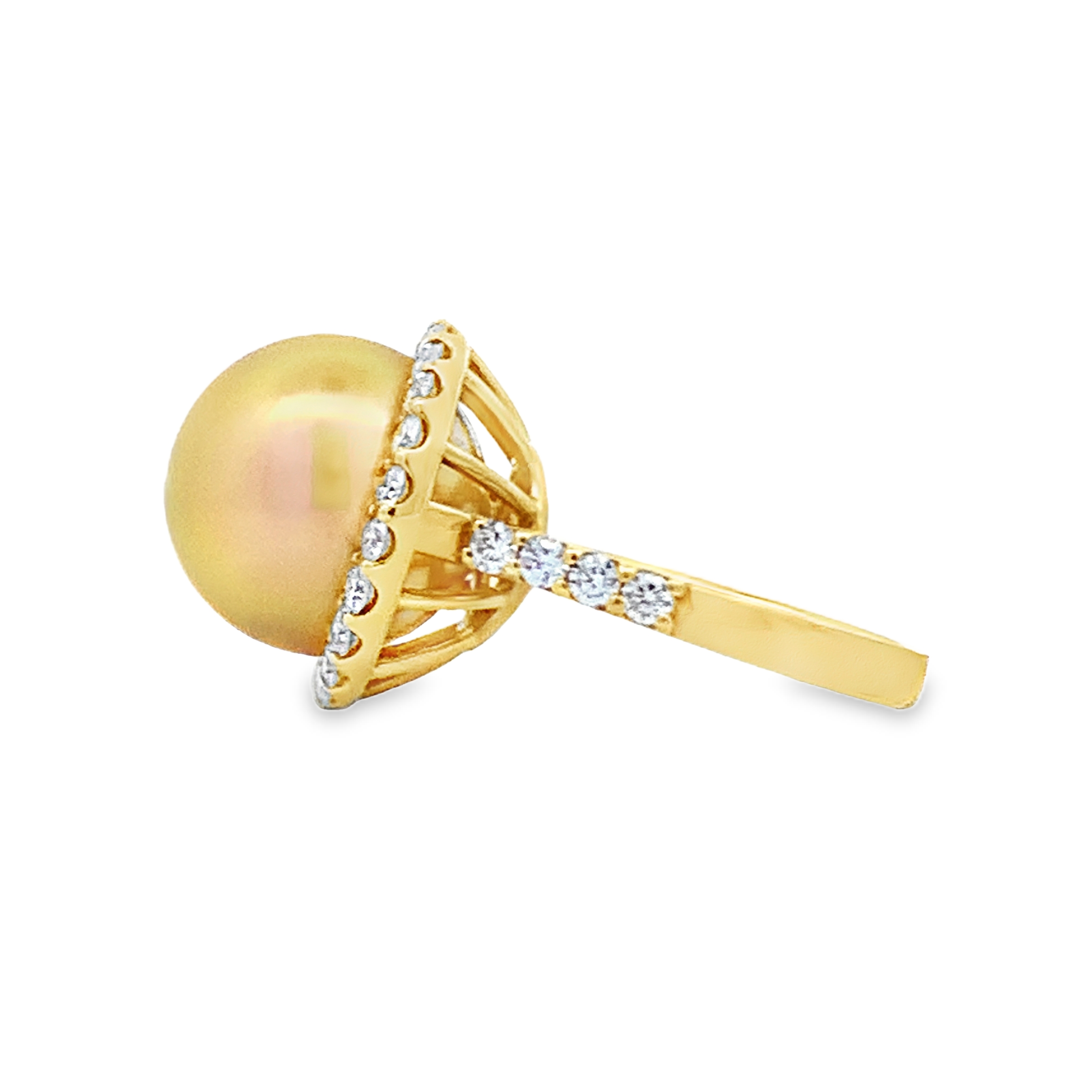 18KYG 13mm Golden South Sea Pearl and Diamond Halo Ring