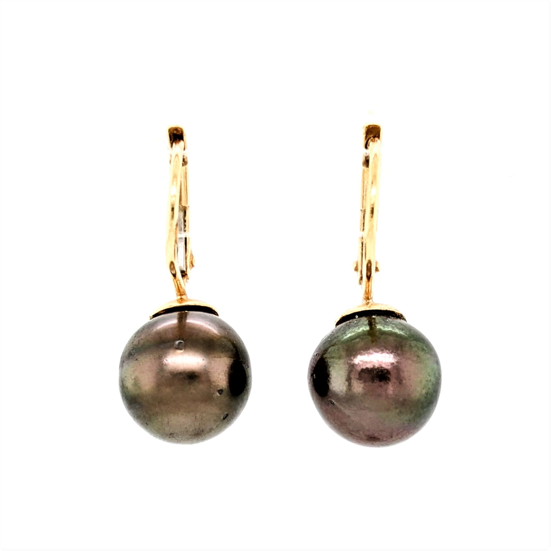 Tahitian Pearl Earrings