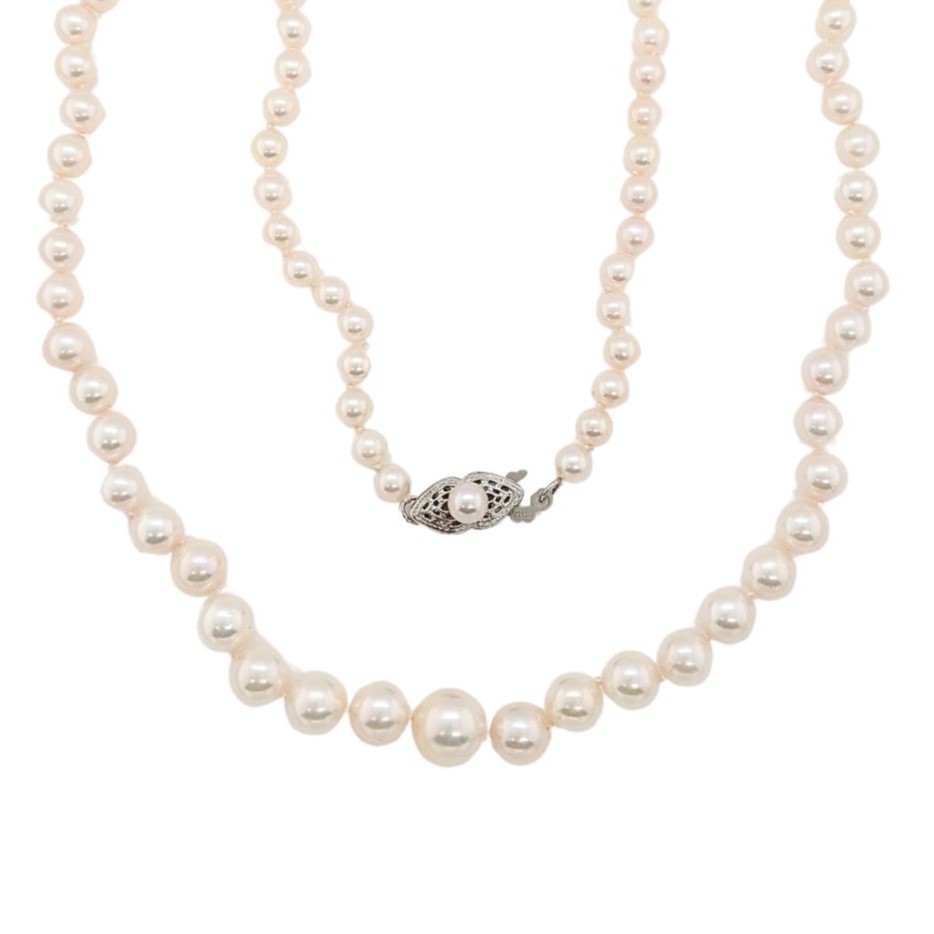 Akoya Pearl 15.75" Strand