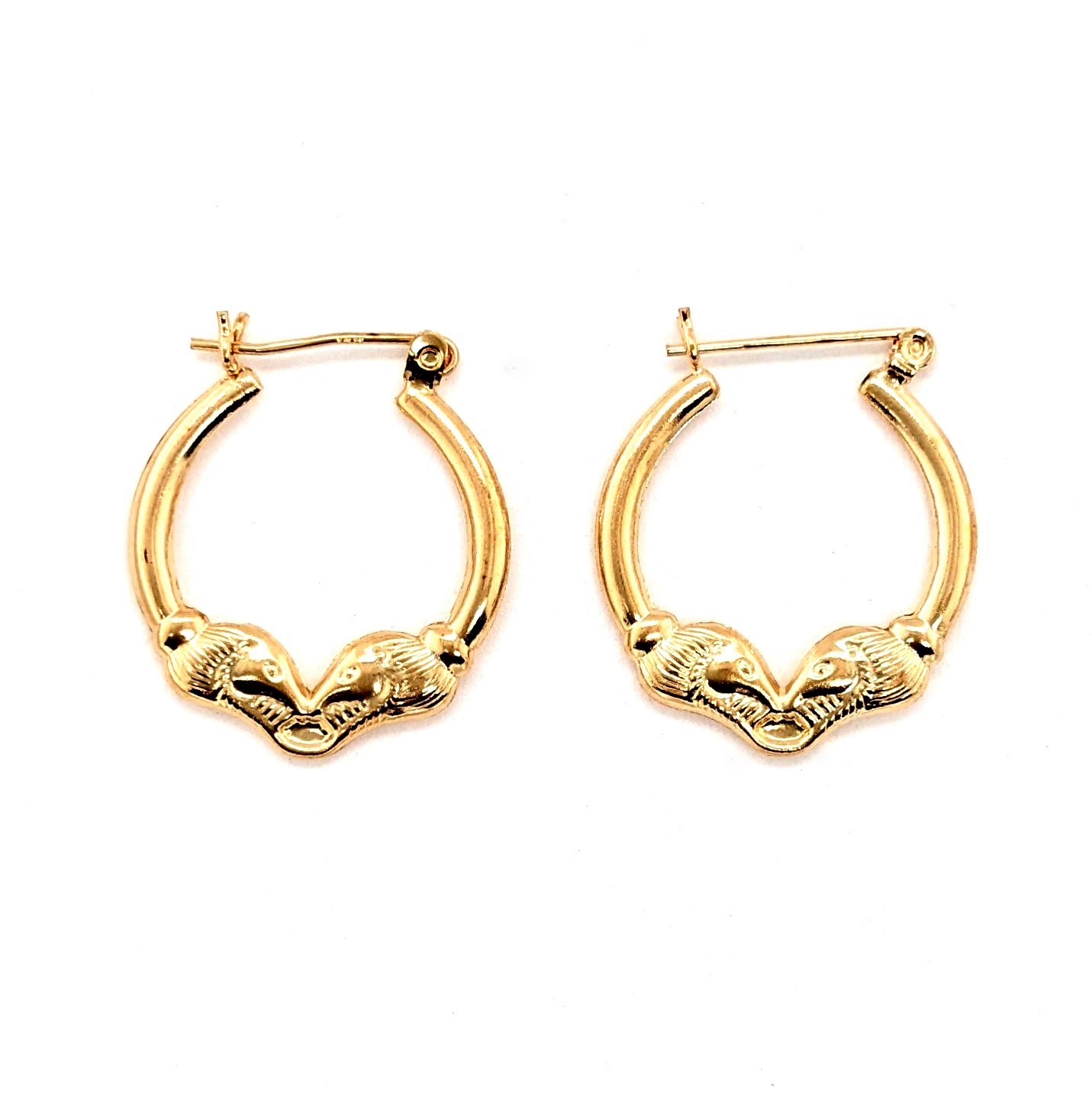 Gold Hoop Earrings