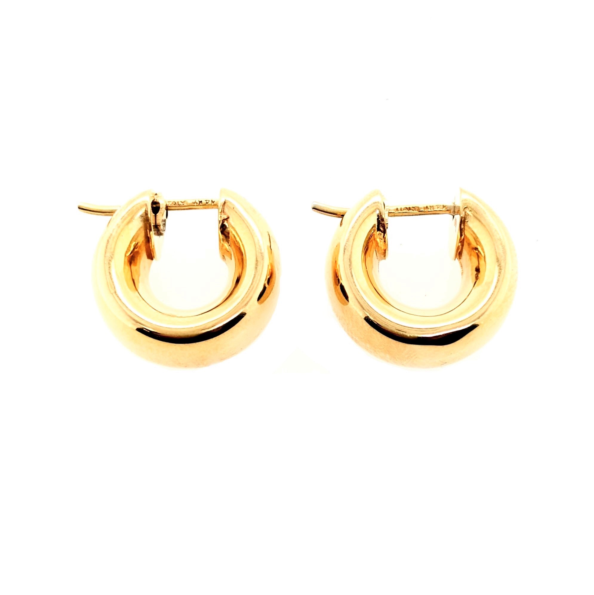 Wide Gold Hoops