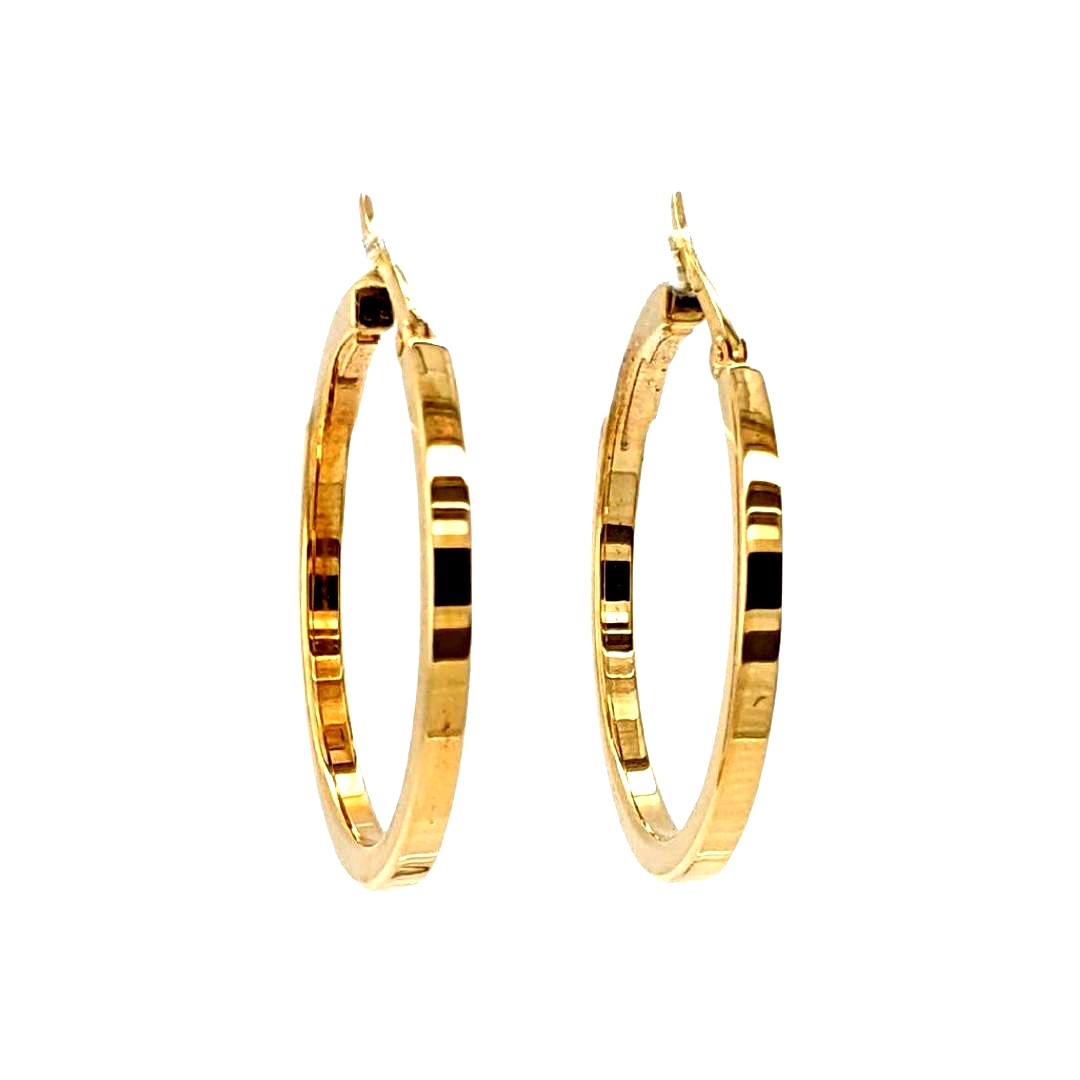 Gold Hoop Earrings