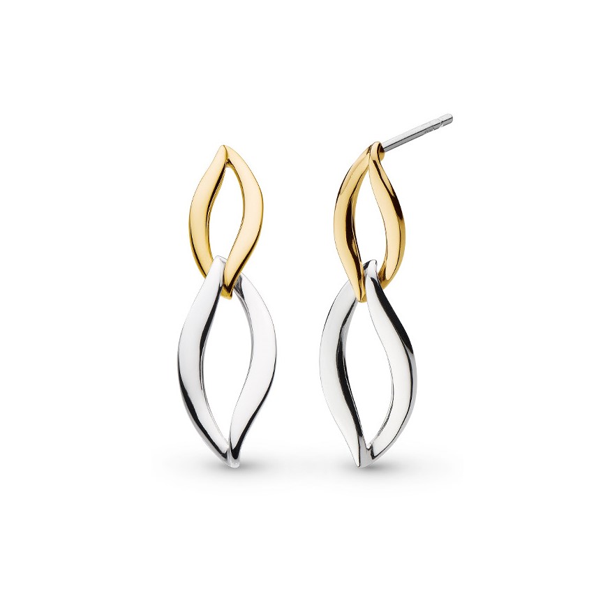 Silver Entwine Earrings