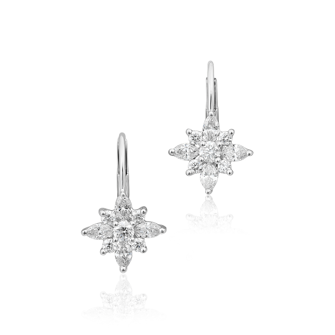 Platinum and 18K White Gold Star Collection Diamond Earrings