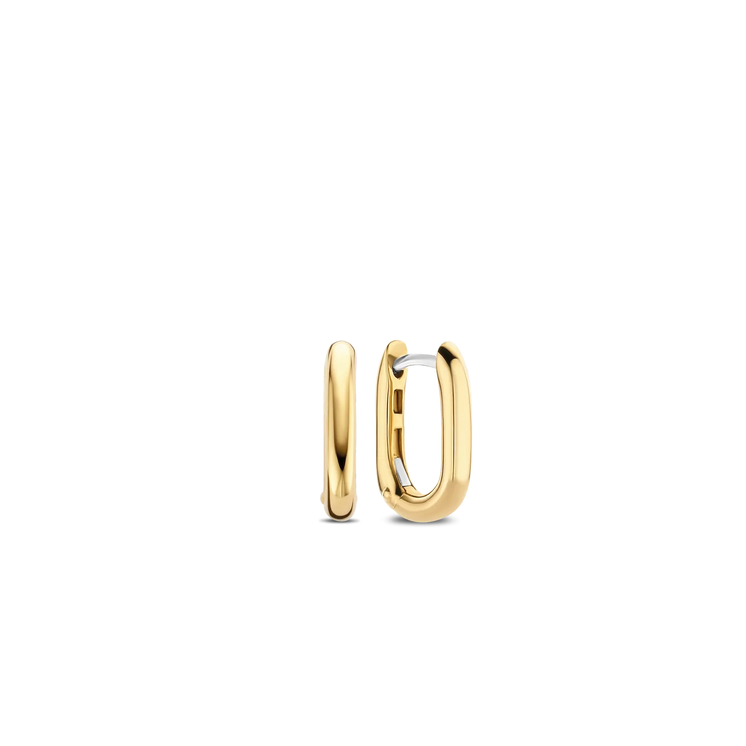 https://www.bsa-images.com/vangundys/VGJ/Inbox/645-2000661.png