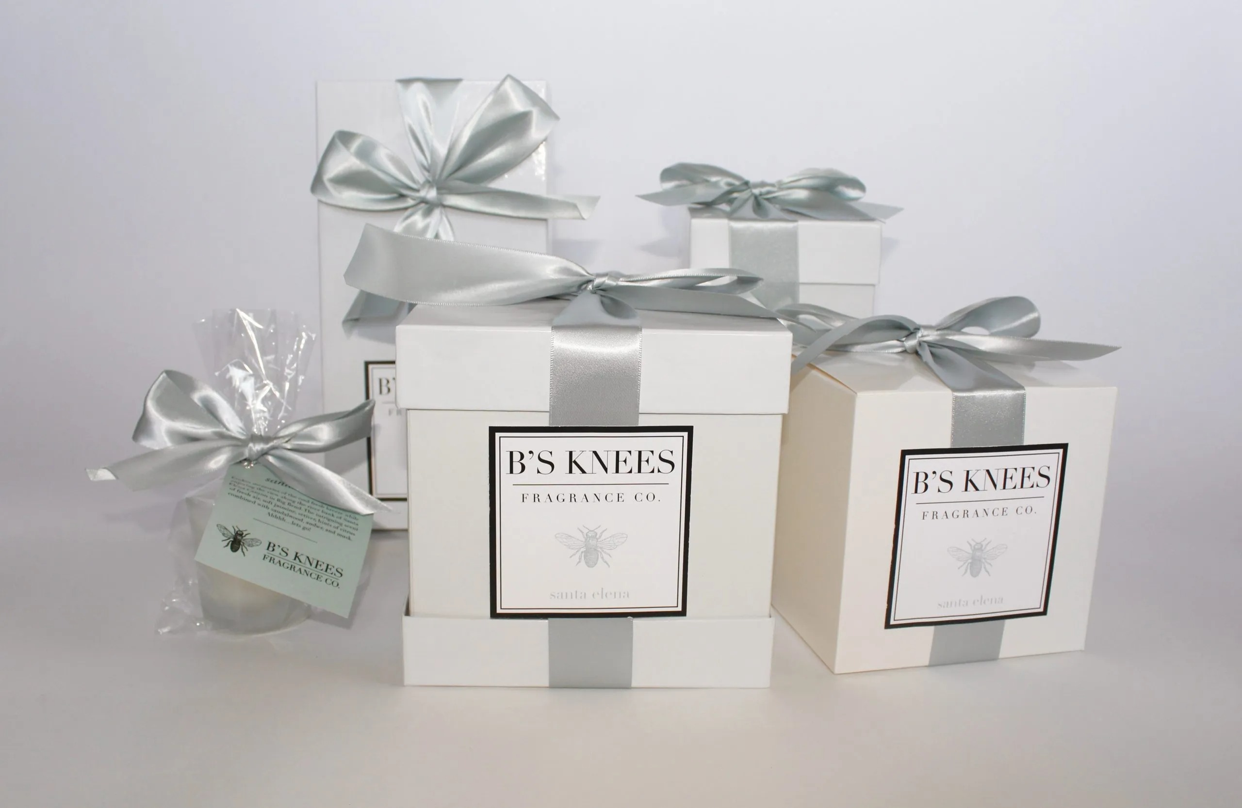 Santa Elena 1-Wick White Glass Fragrance Candle by B's Knees